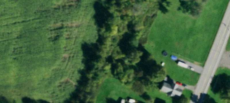 Rte 98