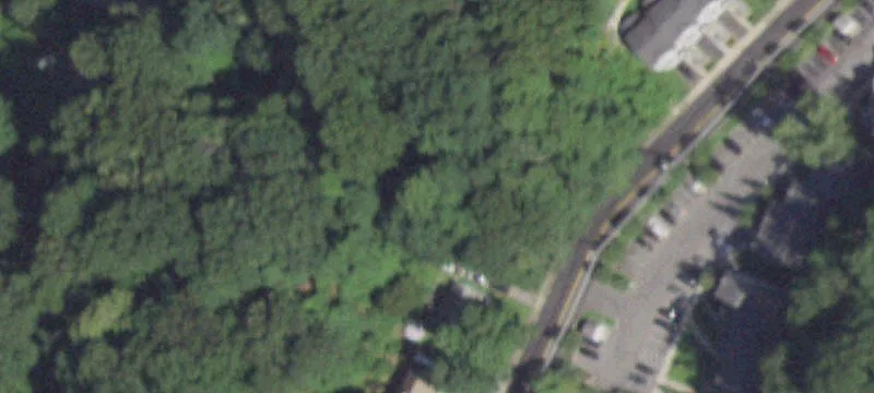 Snowden Ave