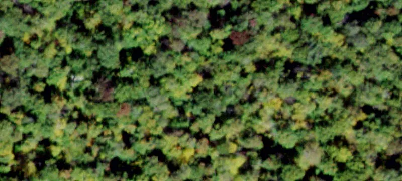 2000 Frost Vly Rd