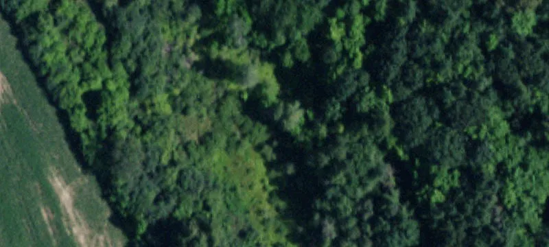 Scio Rd