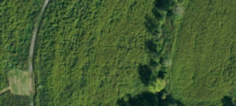 Dodgeson Rd