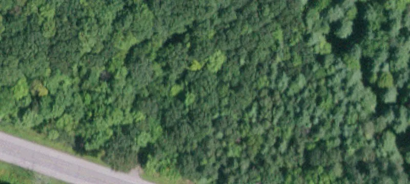 Nys Rt 29