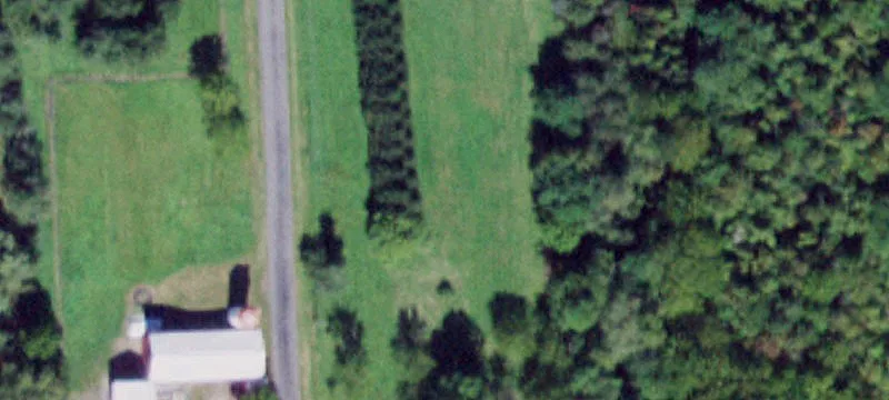 Noble Rd