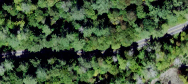 2000 Frost Vly Rd