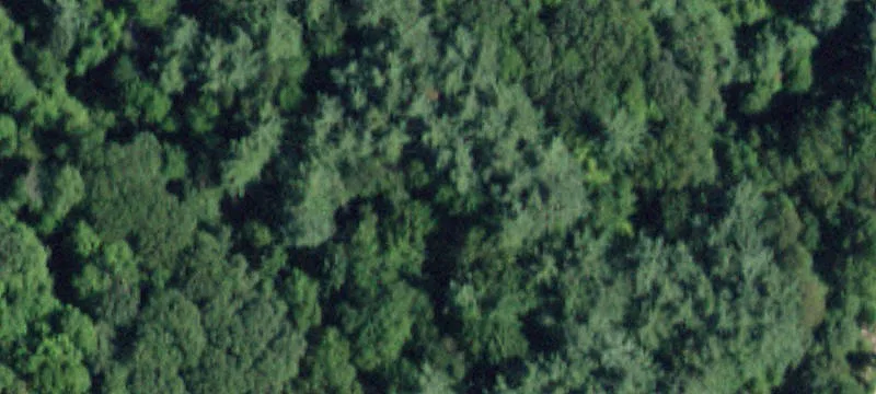 Us Rte 20