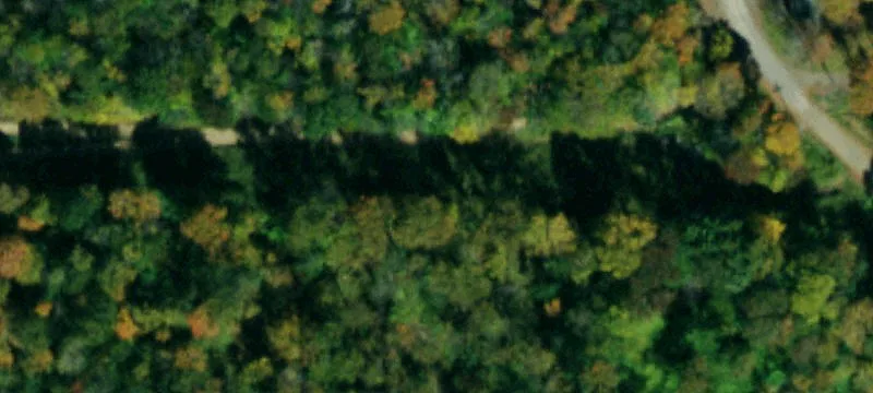 Nys Rte 16th S