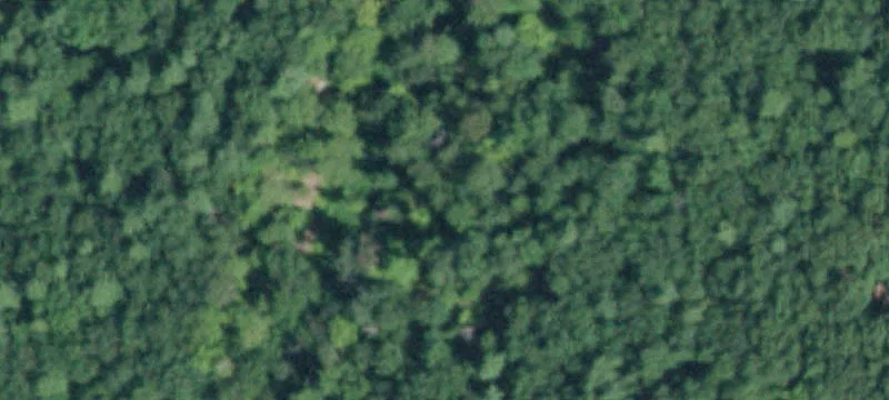 Quackenbush Rd
