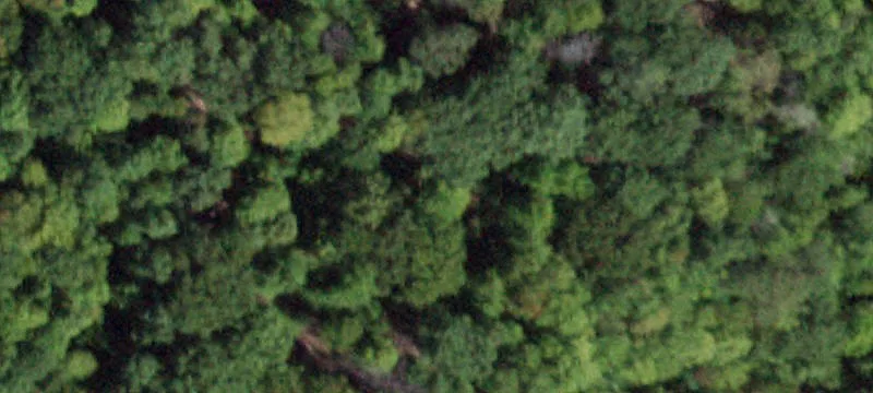 Richford, NY 13835