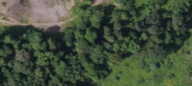 Hogsback Rd