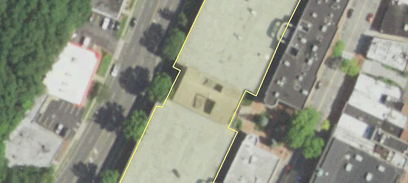 Brewster St