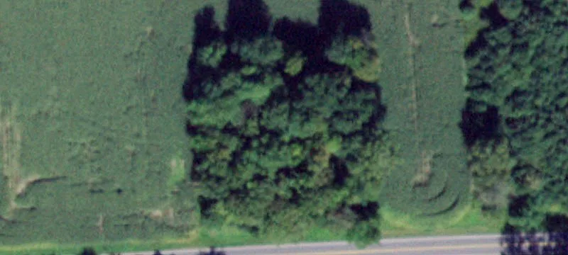 Hadden Rd