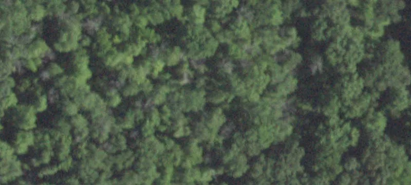 Hosner Mtn Rd