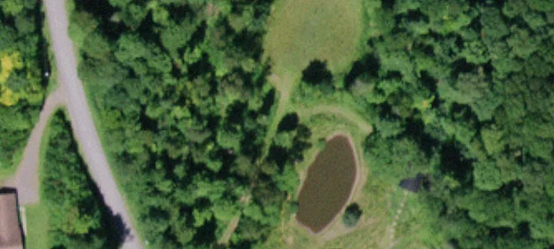 Delhi, NY 13753
