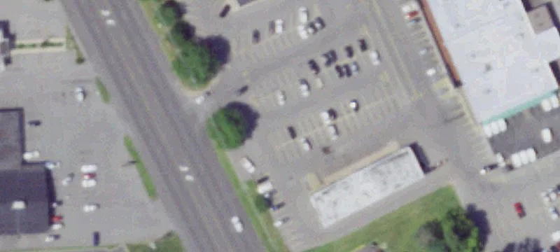 Oswego Rd