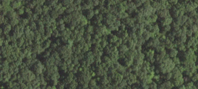 Holsapple Rd