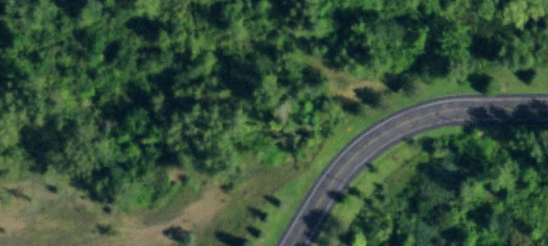 Maple Rd