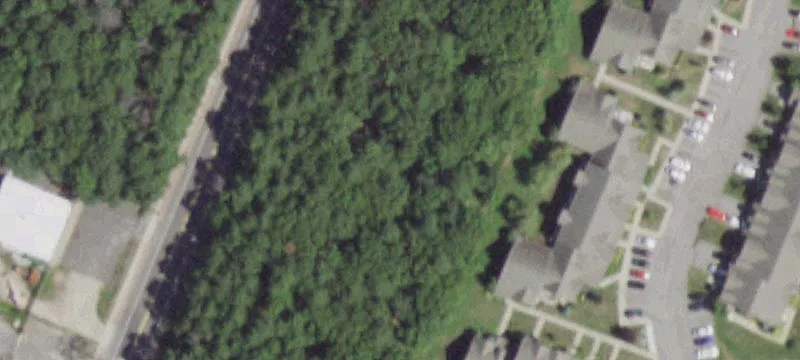 Mastic Rd