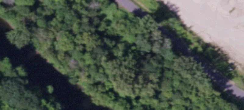 Bones Rd