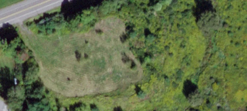 2141 Dryden Rd