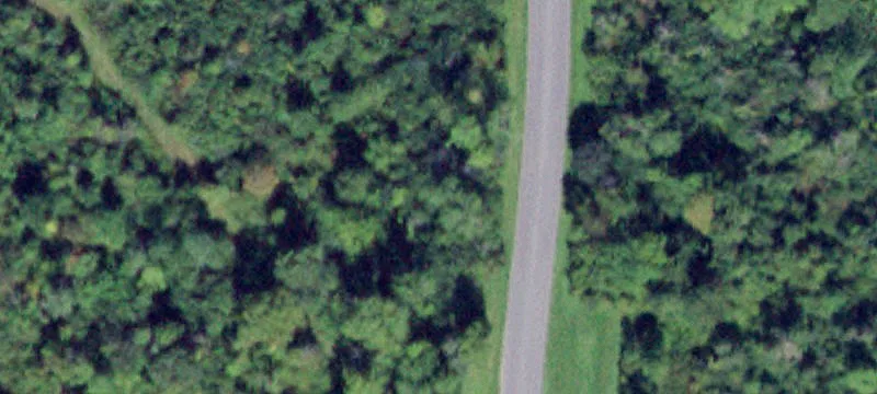 Fred Haynes Blvd