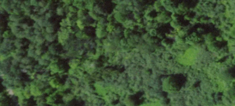Sandy Creek, NY 13145