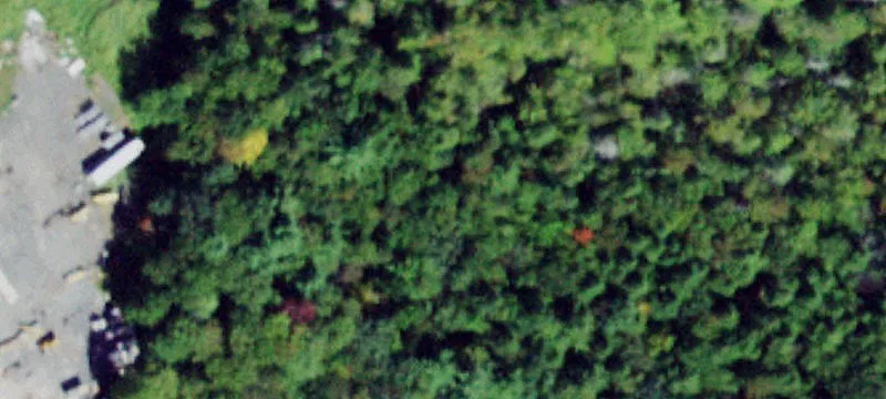 Nys Hwy 42