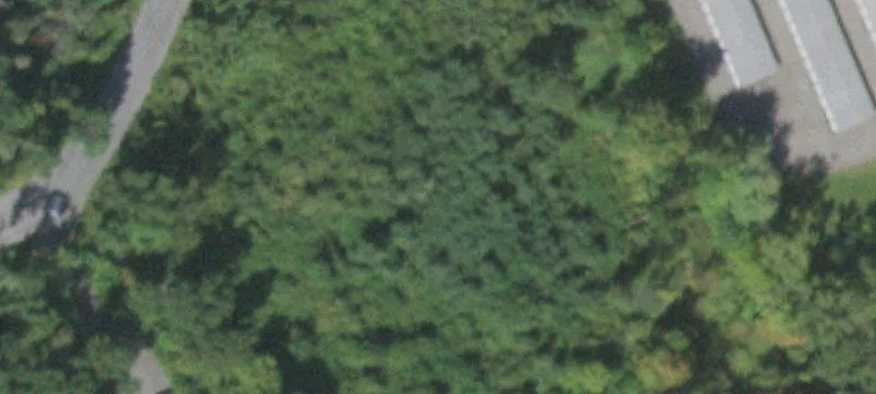 Rte 9d