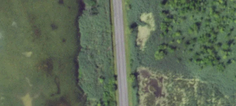 Fisher Rd