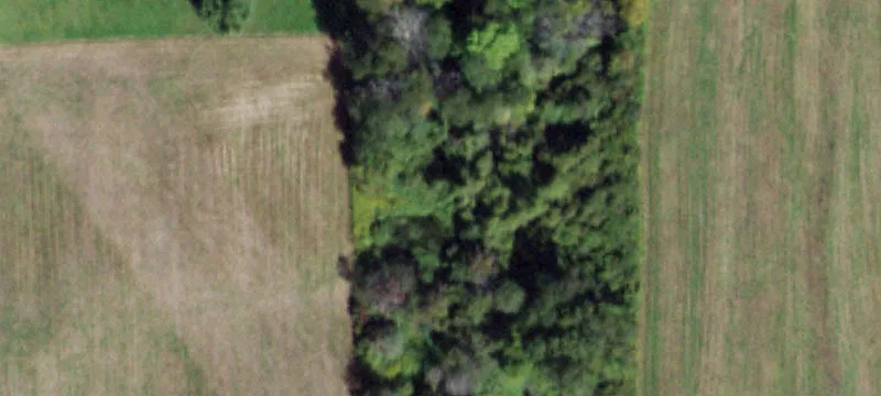 Dryden Rd