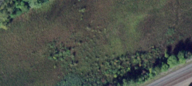 Old Lyons Rd