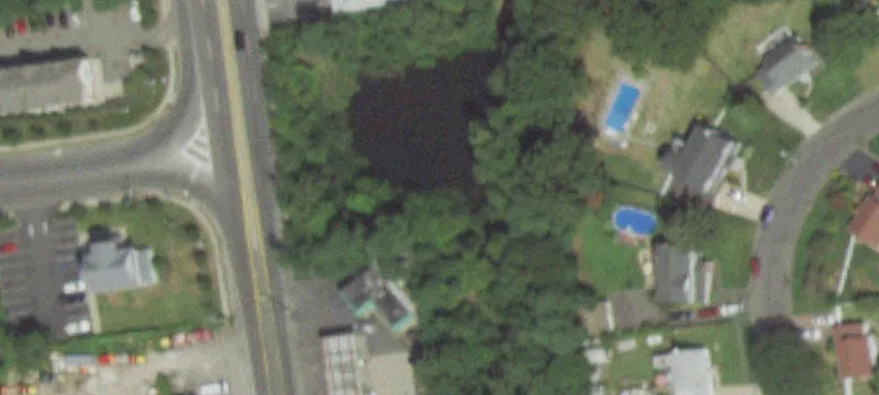 Carleton Ave