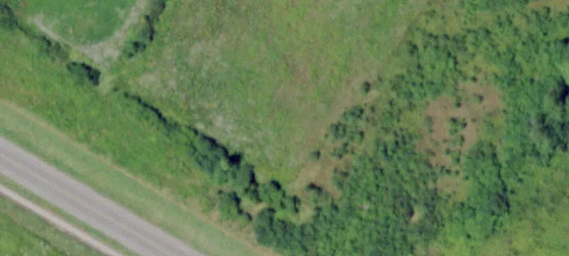 Taylor Rd