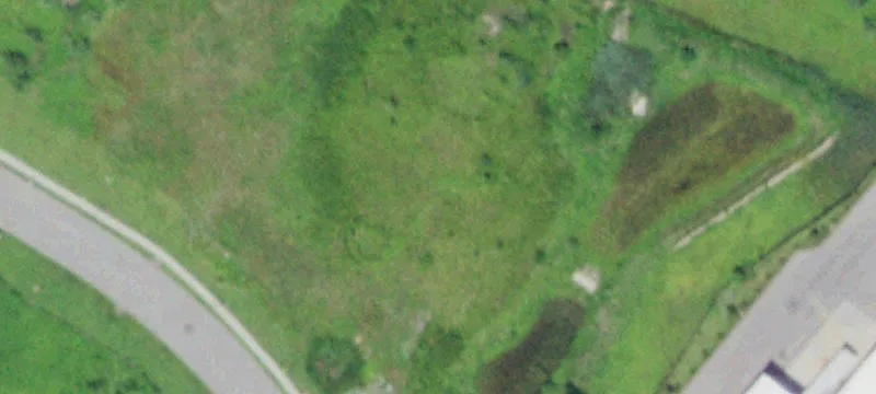65 Vis Blvd