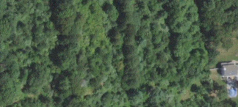 Middle Is Yaphank Rd