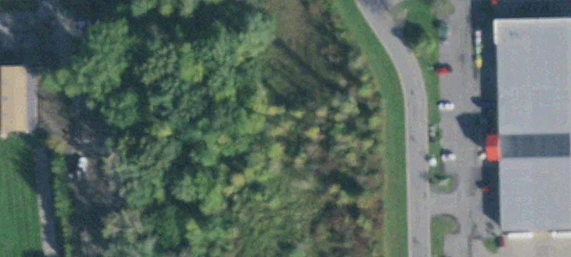 Rte 31
