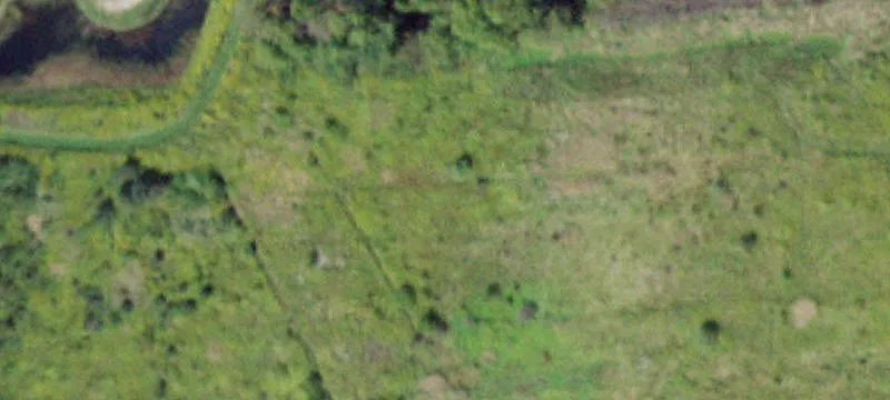 Hickory Grv Rd