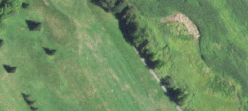 Steele Rd