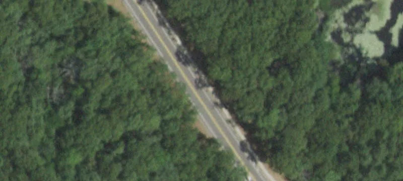 Planters Ave