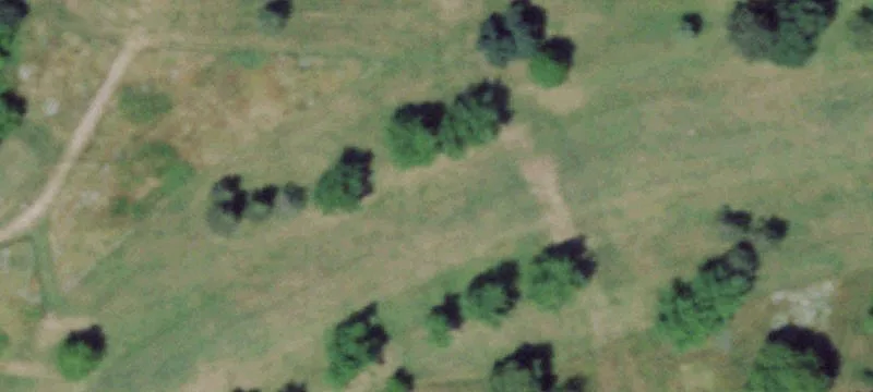 Weldon Dr