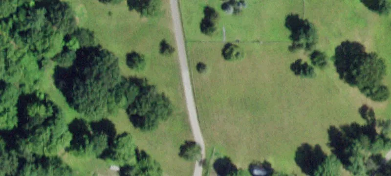 365 Pond Lily Rd