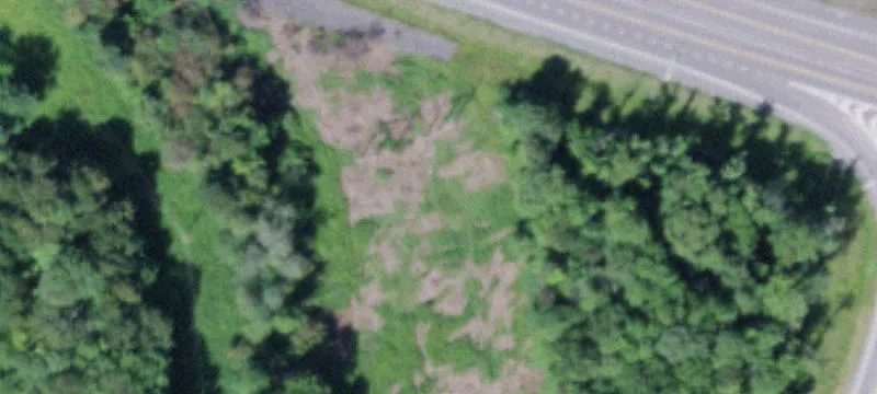 Woods Park Dr