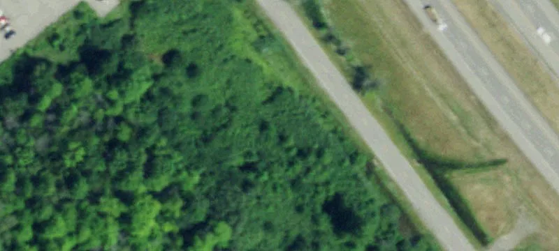 Alvin Rd