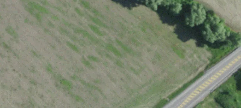 Lakeville Rd