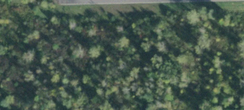Carlson Ln