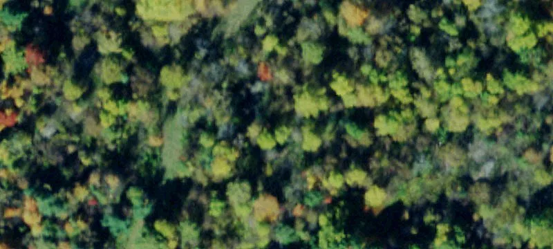 68 Lead Mine Rd