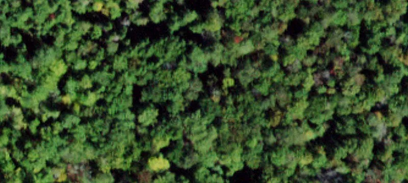 52 Mineral Spgs Rd
