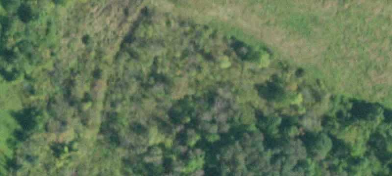 Amsterdam, NY 12010