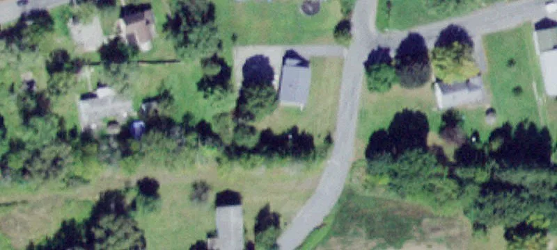 41 Jayne St