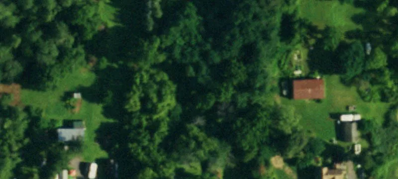 1241 Main Rd