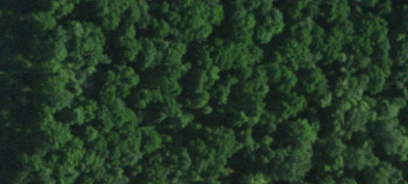 Nunda, NY 14517